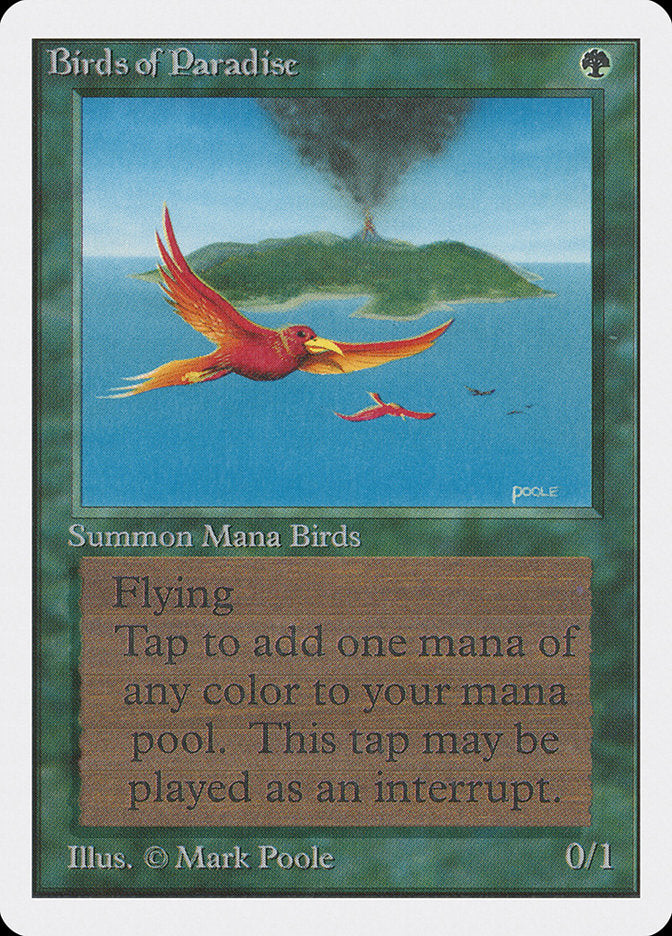 Birds of Paradise [Unlimited Edition] | The CG Realm
