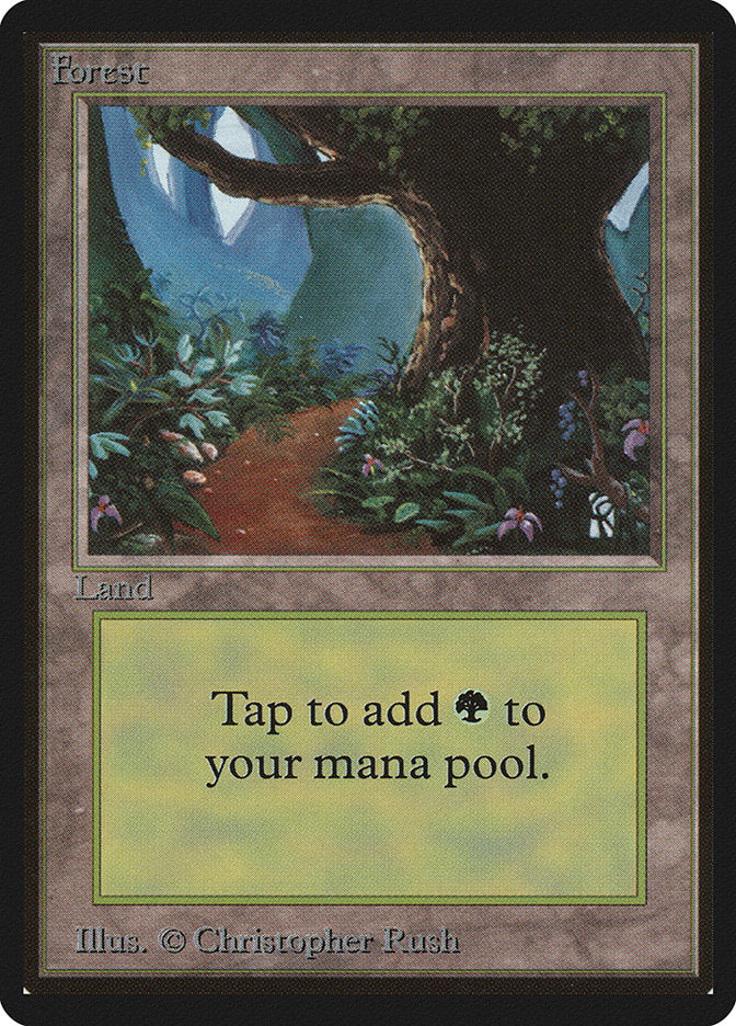 Forest (301) [Beta Edition] | The CG Realm
