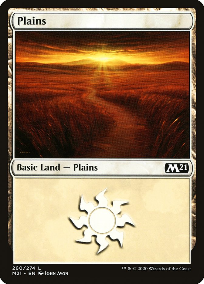 Plains (260) [Core Set 2021] | The CG Realm