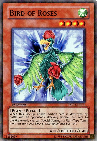 Bird of Roses [TSHD-EN018] Super Rare | The CG Realm