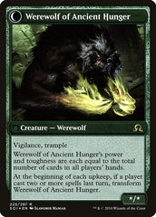 Sage of Ancient Lore // Werewolf of Ancient Hunger [Shadows over Innistrad Prerelease Promos] | The CG Realm