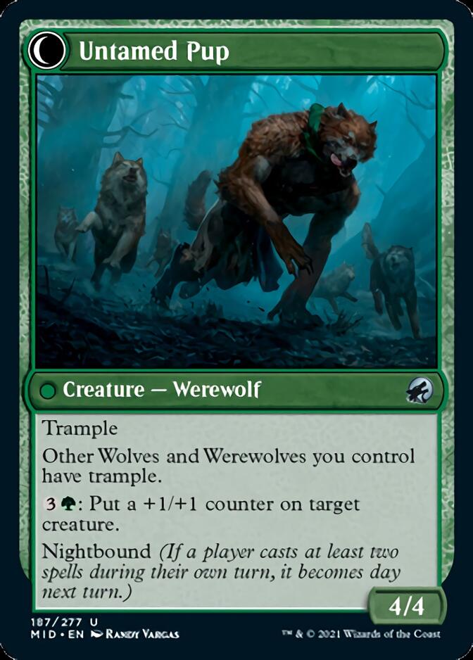 Hound Tamer (MID-187) - Innistrad: Midnight Hunt: (Double Faced Transform)