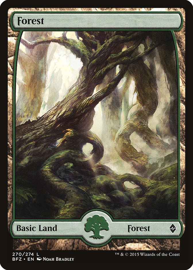 Forest (270) (Full Art) [Battle for Zendikar] | The CG Realm