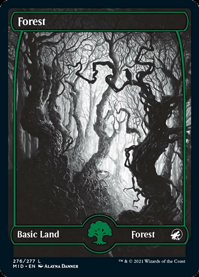 Forest (276) [Innistrad: Midnight Hunt] | The CG Realm