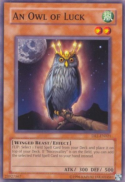 An Owl of Luck [DR1-EN021] Common | The CG Realm
