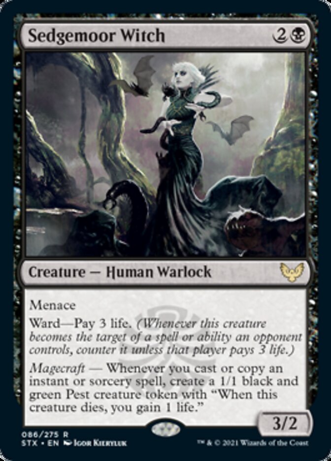 Sedgemoor Witch [Strixhaven: School of Mages] | The CG Realm