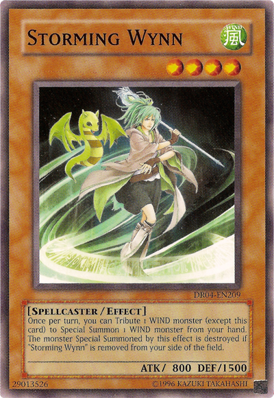 Storming Wynn [DR04-EN209] Common | The CG Realm