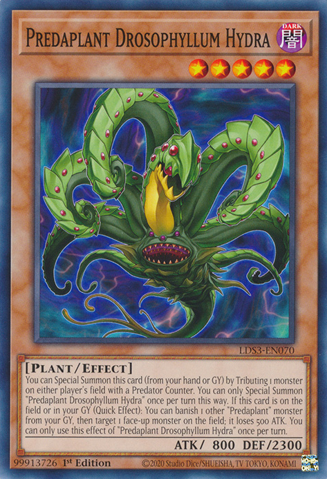 Predaplant Drosophyllum Hydra [LDS3-EN070] Common | The CG Realm