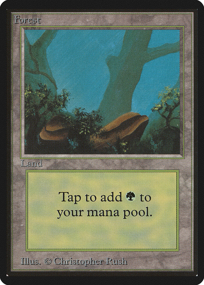 Forest (300) [Beta Edition] | The CG Realm