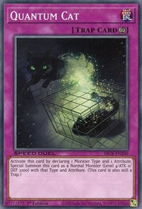Quantum Cat [SBCB-EN200] Common | The CG Realm