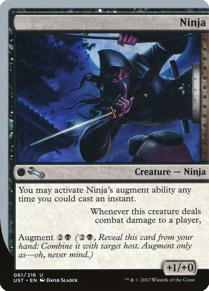 Ninja [Unstable] | The CG Realm