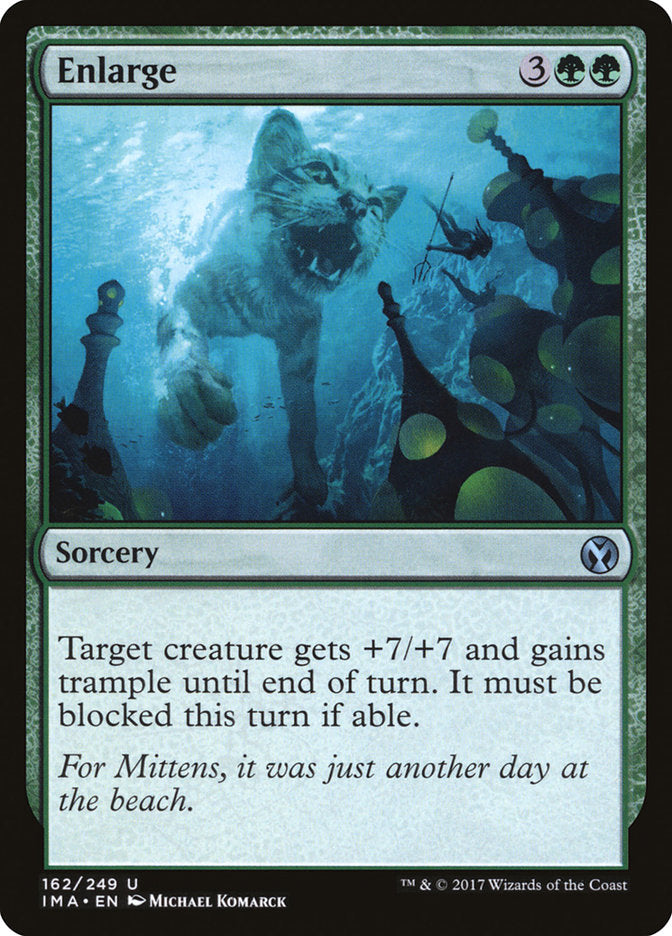Enlarge [Iconic Masters] | The CG Realm
