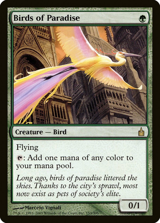 Birds of Paradise [Ravnica: City of Guilds] | The CG Realm