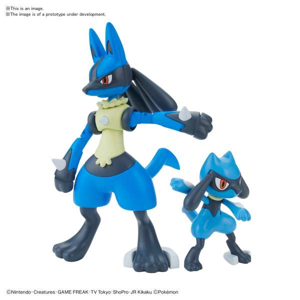 POKEMON MODEL KIT RIOLU & LUCARIO | The CG Realm