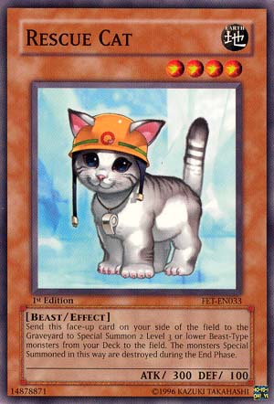 Rescue Cat [FET-EN033] Common | The CG Realm