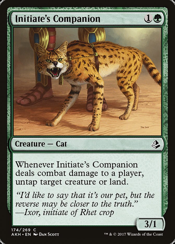 Initiate's Companion [Amonkhet] | The CG Realm