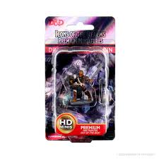 D&D Icons of the Realms Premium Miniatures Dragonborn Paladin