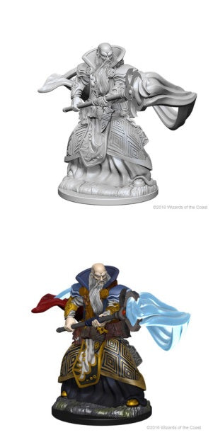 DND UNPAINTED MINIS WV1 MALE HUMAN WIZARD | The CG Realm
