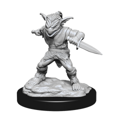 DND UNPAINTED MINIS WV15 MALE ROGUE/FEMALE BARD | The CG Realm