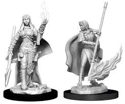 D&D Deep Cuts Primed Female Human Oracle (Magic User)