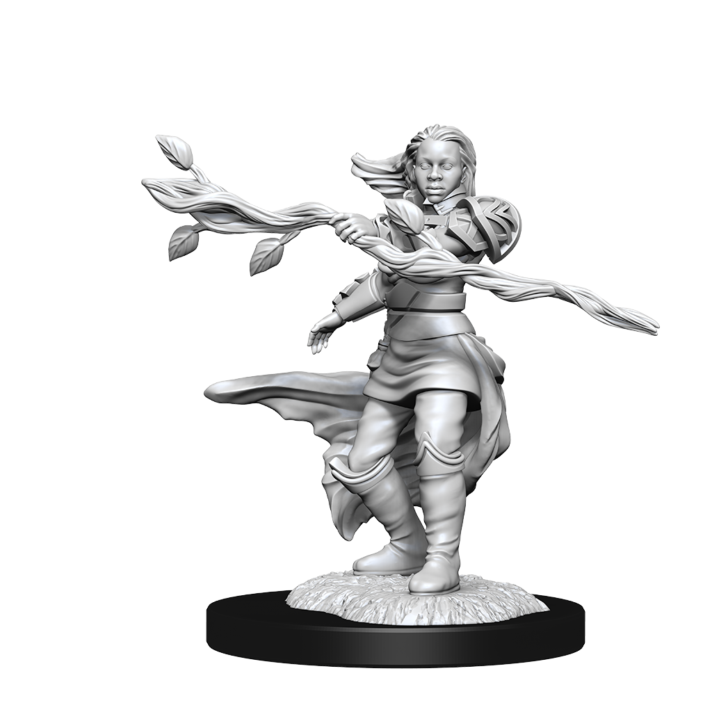DND UNPAINTED MINIS WV14 HUMAN DRUID FEMALE