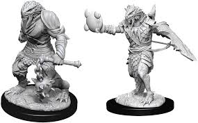 D&D Primed Miniatures Dragonborn Paladin