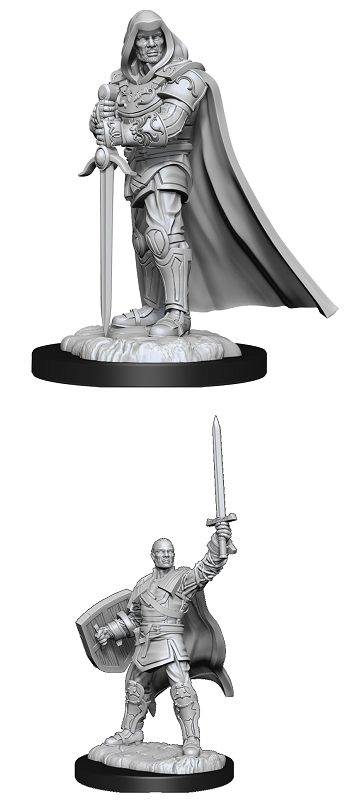DND UNPAINTED MINIS WV13 HUMAN PALADIN MALE | The CG Realm