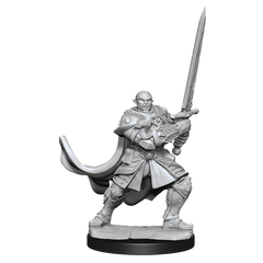 DND UNPAINTED MINIS WV15 HALF-ORC PALADIN MALE | The CG Realm