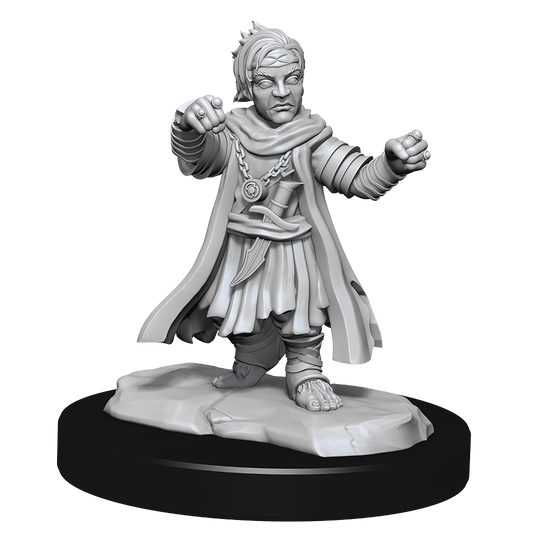 PF UNPAINTED MINIS WV15 HALFLING MONK MALE