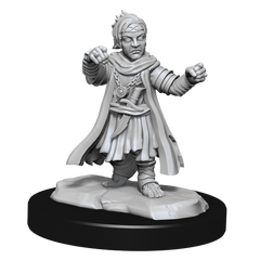 PF UNPAINTED MINIS WV15 HALFLING MONK MALE | The CG Realm