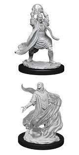 D&D Primed Miniatures Elf Sorcerer