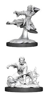D&D Primed Miniatures Human Monk