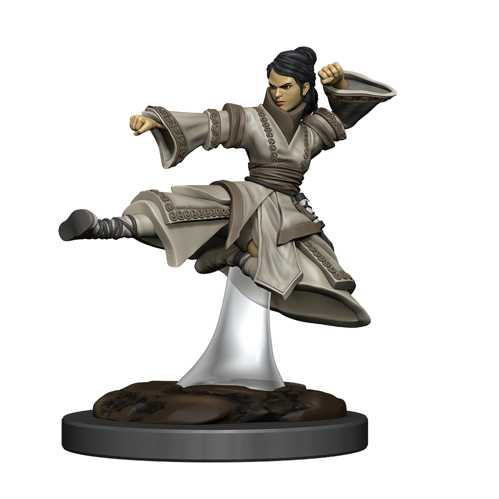 DND ICONS O/T REALMS HUMAN MONK FEMALE PREM FIG