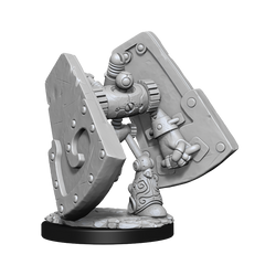 DND UNPAINTED MINIS WV15 STONE DEFENDER/OAKEN BOLT | The CG Realm