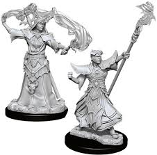 D&D Deep Cuts Primed Male Human Sorcerer