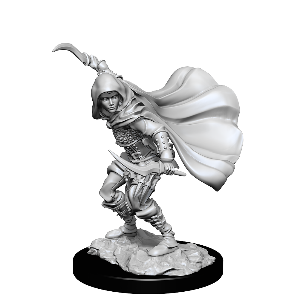 PF UNPAINTED MINIS WV14 HUMAN ROGUE FEMALE