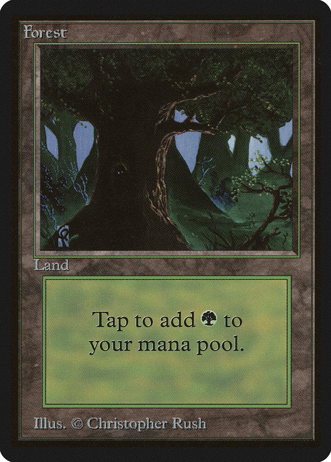 Forest (302) [Beta Edition] | The CG Realm
