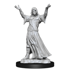 WIZKIDS UNPAINTED MINIS WV15 PLAGUE DOCTOR/CULTIST | The CG Realm