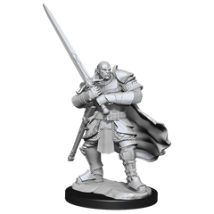 DND UNPAINTED MINIS WV15 HALF-ORC PALADIN MALE | The CG Realm