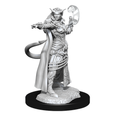 DND UNPAINTED MINIS WV15 TIEFLING SORCERER FEMALE | The CG Realm