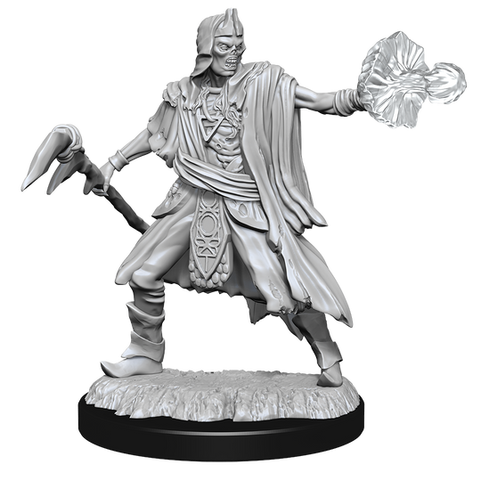 DND UNPAINTED MINIS WV15 ALLIP AND DEATHLOCK
