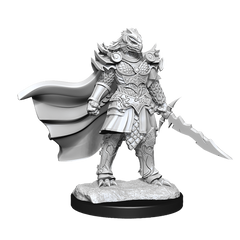 DND UNPAINTED MINIS WV15 DRAGONBORN FIGHTER FEMALE | The CG Realm