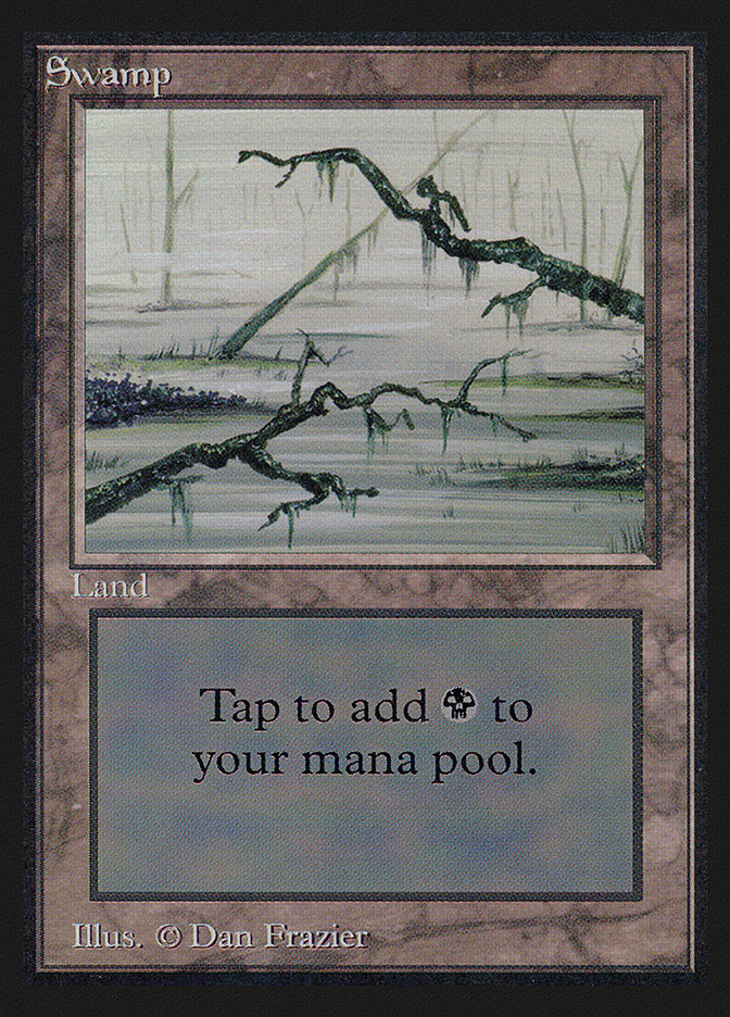 Swamp (Branches on Left and Right of Frame) [International Collectors' Edition] | The CG Realm