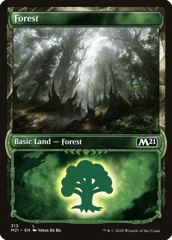 Forest (313) (Showcase) [Core Set 2021] | The CG Realm