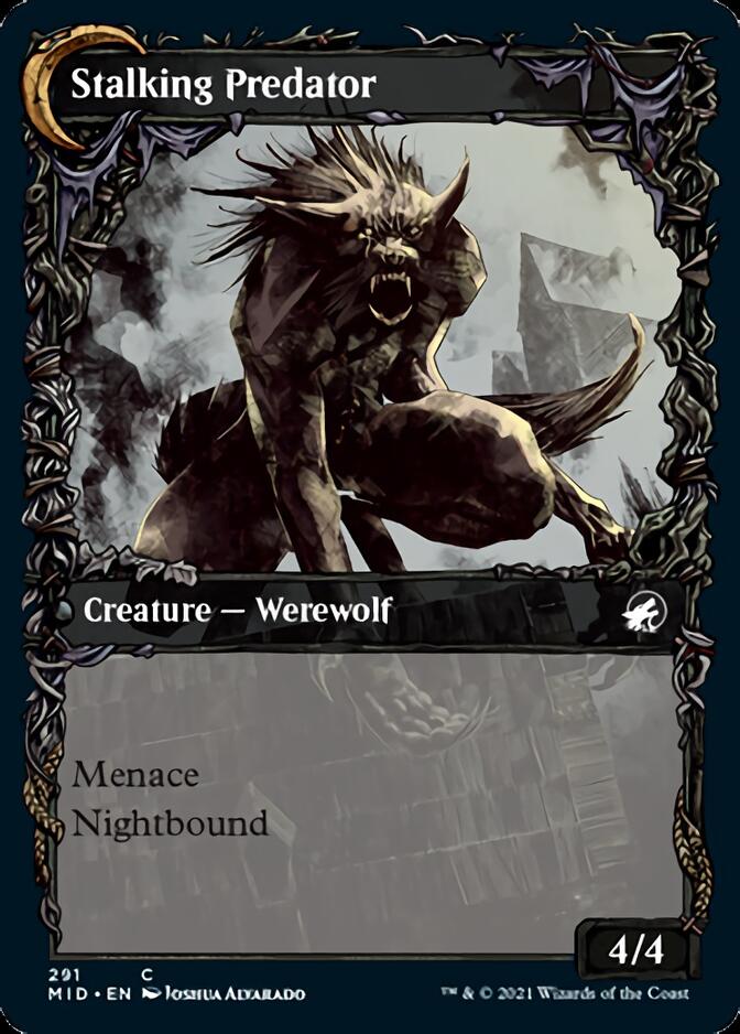 Shady Traveler // Stalking Predator (Showcase Equinox) [Innistrad: Midnight Hunt] | The CG Realm