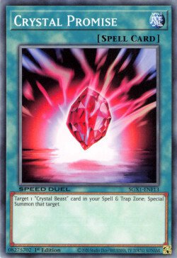Crystal Promise [SGX1-ENF13] Common | The CG Realm