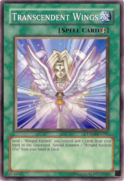 Transcendent Wings [DR04-EN045] Common | The CG Realm