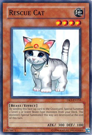 Rescue Cat [DR3-EN153] Common | The CG Realm