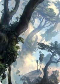 Forest 1 Art Card [Zendikar Rising Art Series] | The CG Realm