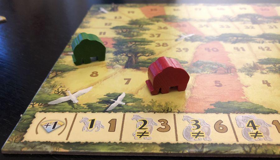 Carcassonne: Safari